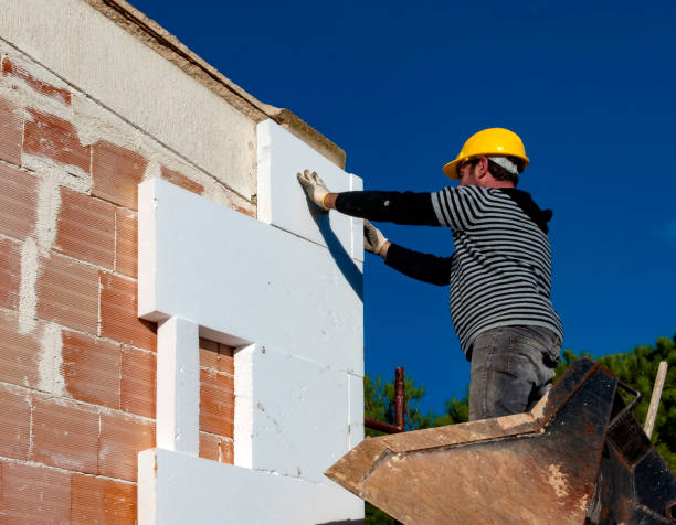 Best Insulation Removal Services  in Oak Ridge, NC