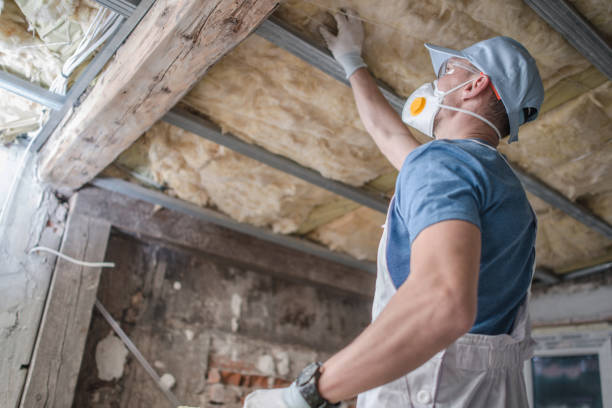 Best Local Insulation Services  in Oak Ridge, NC
