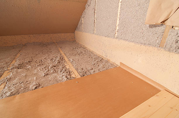 Best Insulation Removal  in Oak Ridge, NC
