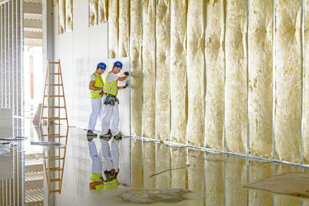 Best Crawl Space Insulation  in Oak Ridge, NC